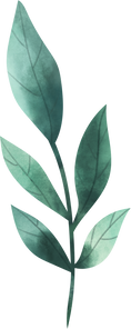 Watercolor Leaf Object 